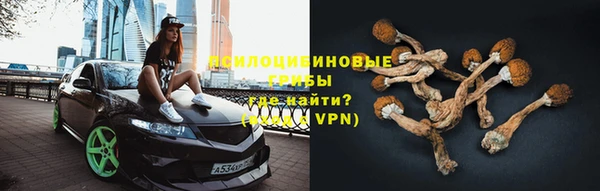 ешки Белокуриха
