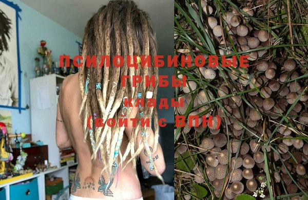 ешки Белокуриха