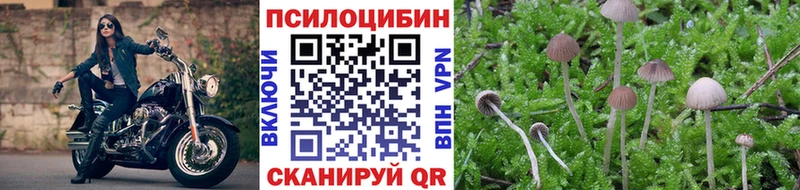 Галлюциногенные грибы Psilocybe  Купить  Верхний Уфалей 