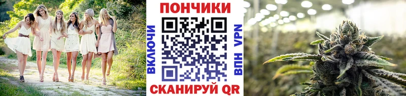 Бошки Шишки планчик  Купить где  Верхний Уфалей 